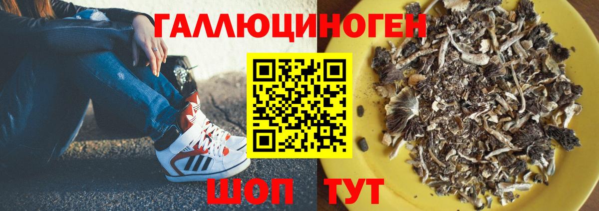 Псилоцибиновые грибы Psilocybine cubensis  Вход с VPN  Новочеркасск  Псилоцибиновые грибы Psilocybine cubensis 